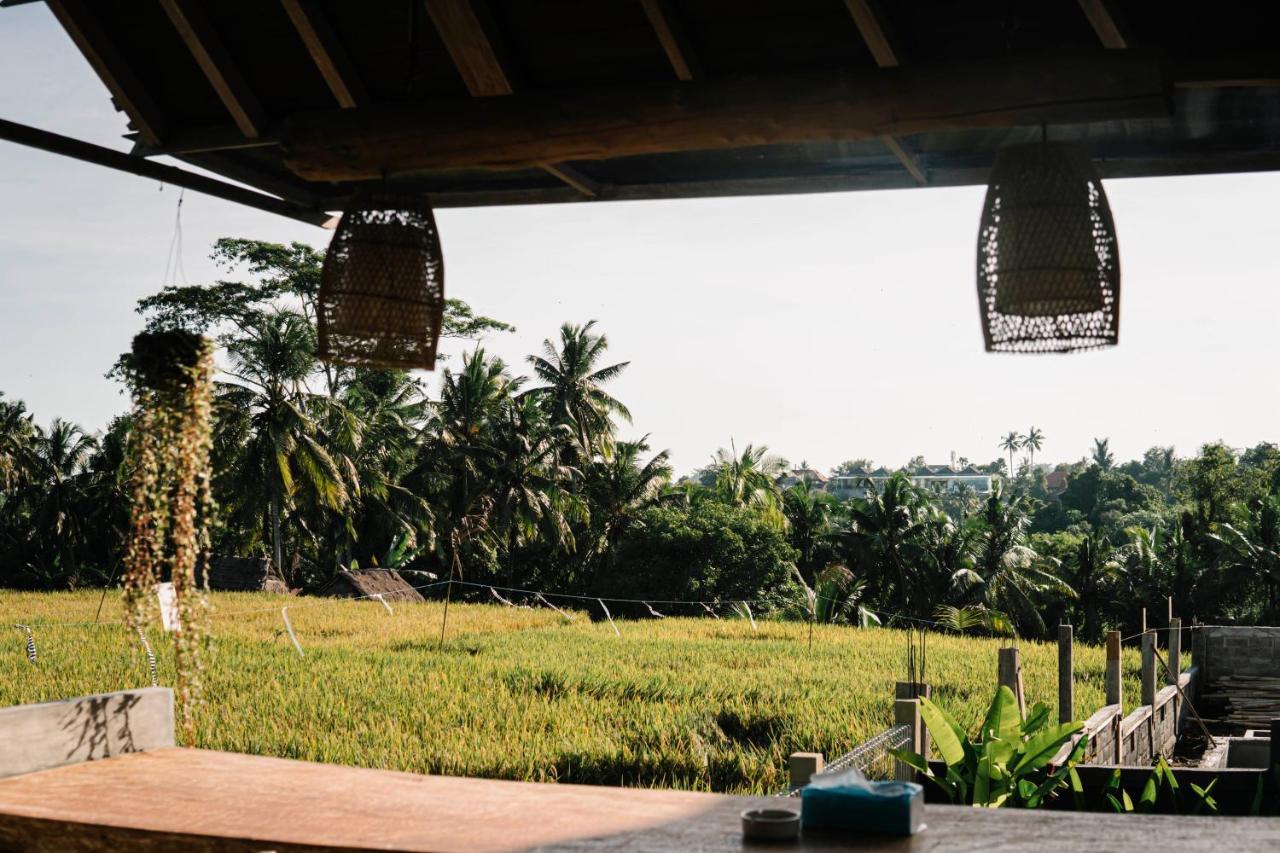 Raditya Villa Ubud Екстер'єр фото