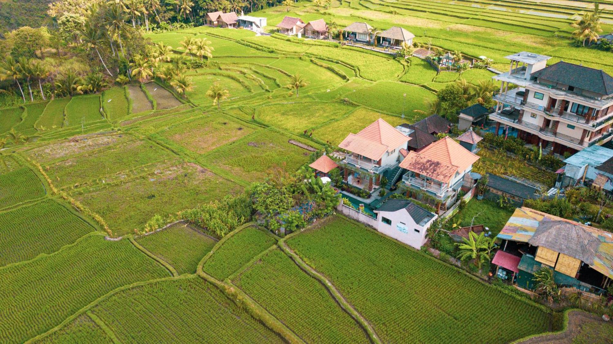 Raditya Villa Ubud Екстер'єр фото